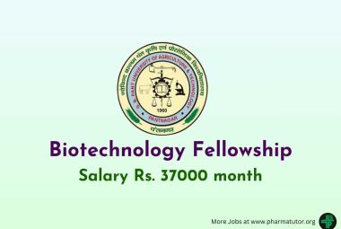 Biotechnology Fellowship at G.B. Pant University