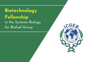 Biotechnology Fellowship in the Systems Biology for Biofuel Group, ICGEB