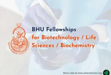 Fellowships for Biotechnology / Life Sciences / Biochemistry at Banaras Hindu University