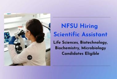 NFSU Hiring Scientific Assistant