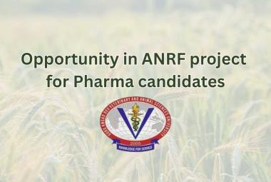 Opportunity in ANRF project for Pharma candidates at GADVASU