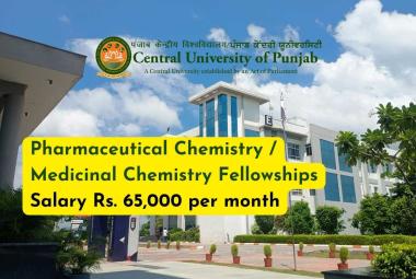 Pharmaceutical Chemistry / Medicinal Chemistry Fellowships at Central University of Punjab