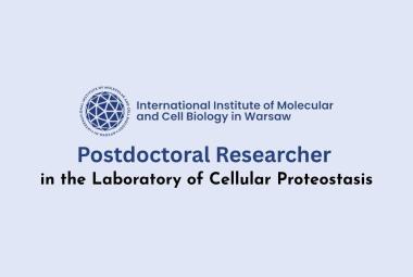Postdoctoral Researcher in the Laboratory of Cellular Proteostasis at IIMCB