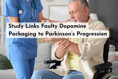 Study Links Faulty Dopamine Packaging to Parkinson’s Progression