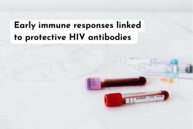 Early immune responses linked to protective HIV antibodies