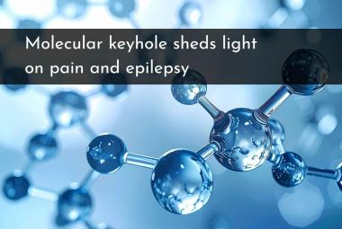 Molecular keyhole sheds light on pain and epilepsy