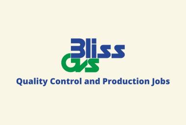 Quality Control and Production Jobs at Bliss GVS