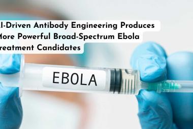 AI-Driven Antibody Engineering Produces More Powerful Broad-Spectrum Ebola Treatment Candidates
