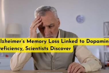 Alzheimer’s Memory Loss Linked to Dopamine Deficiency, Scientists Discover