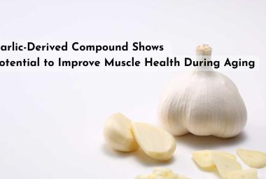 Garlic-Derived Compound Shows Potential to Improve Muscle Health During Aging