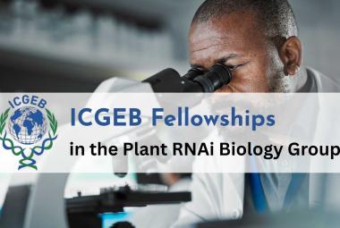 ICGEB Fellowships in the Plant RNAi Biology Group