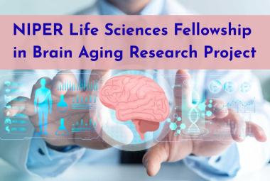 Life Sciences Fellowship in Brain Aging Research Project at NIPER