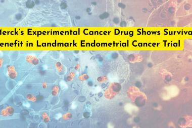 Merck’s Experimental Cancer Drug Shows Survival Benefit in Landmark Endometrial Cancer Trial