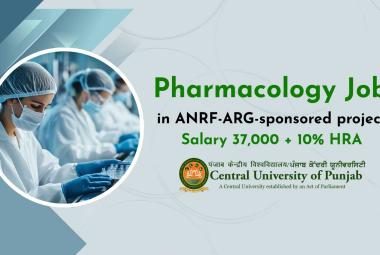 Pharmacology Job in ANRF-ARG-sponsored project at Central University of Punjab