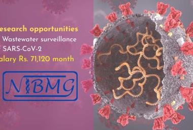 Research opportunities in Wastewater surveillance of SARS-CoV-2 at NIBMG