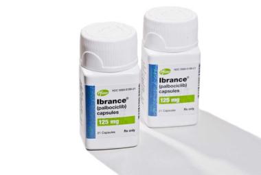 FDA Expands IBRANCE Use : Pfizer Secures Landmark Approval for HR+/HER2+ Metastatic Breast Cancer