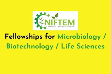 Fellowships for Microbiology / Biotechnology / Life Sciences at NIFTEM
