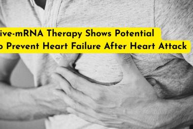 Five-mRNA Therapy Shows Potential to Prevent Heart Failure After Heart Attack