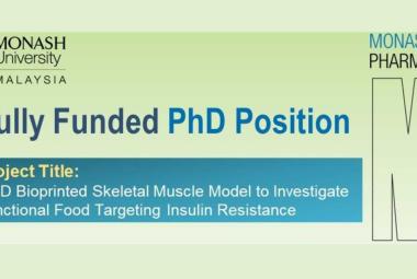 Fully Funded PhD Position at Monash University