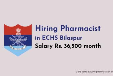 ECHS Bilaspur invites applications for post of Pharmacist