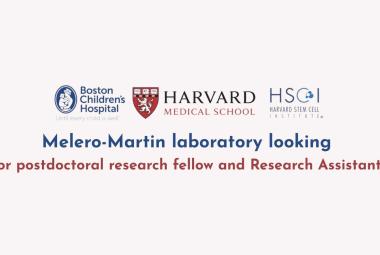 Melero-Martin laboratory looking for postdoctoral research fellow and Research Assistants