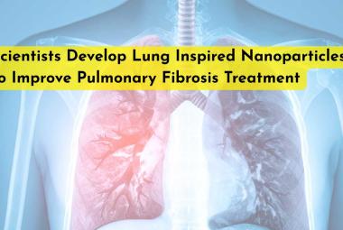 Scientists Develop Lung Inspired Nanoparticles to Improve Pulmonary Fibrosis Treatment