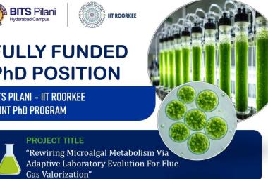 BITS Pilani IIT Roorkee Joint Ph.D. Position