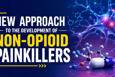 New approach to the development of non-opioid painkillers