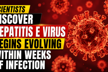 Scientists Discover Hepatitis E Virus Begins Evolving Within Weeks of Infection