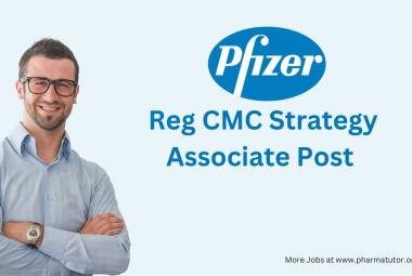 Work as Reg CMC Strategy Associate at Pfizer