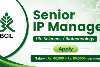 Applications are invited for the post of Senior IP Manager at BCIL