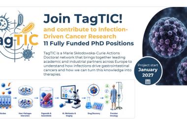  Fully Funded PhD Positions