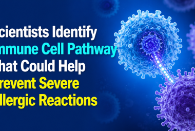 Scientists Identify Immune Cell Pathway That Could Help Prevent Severe Allergic Reactions