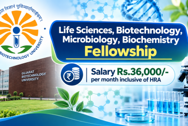 Life Sciences, Biotechnology, Microbiology, Biochemistry Fellowship at GBU