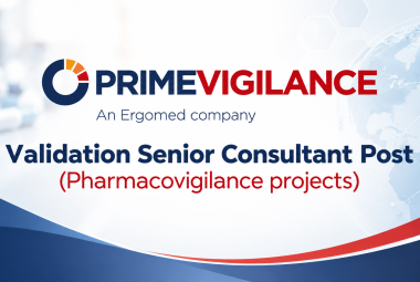 Work as Validation Senior Consultant at PrimeVigilance