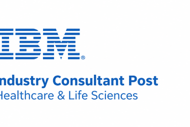 Work as Industry Consultant at IBM