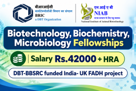 Biotechnology, Biochemistry, Microbiology Fellowships at NIAB