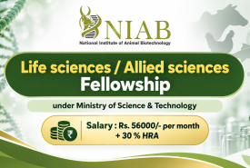 Life sciences / Allied sciences Fellowship under Ministry of Science & Technology, NIAB