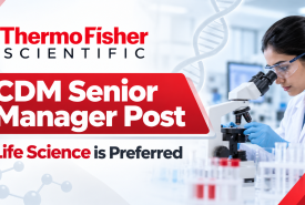 Work as CDM Senior Manager at Thermo Fisher Scientific