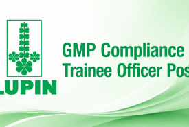 Work as GMP Compliance Trainee Officer at Lupin