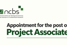 Appointment for the post of Project Associate at NCBS
