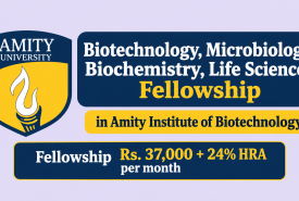 Biotechnology, Microbiology, Biochemistry, Life Sciences Fellowship in Amity Institute of Biotechnology