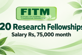 FITM Research Fellowships
