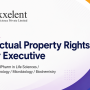 Axxelent Pharma Hiring Intellectual Property Rights Senior Executive
