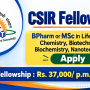 CSIR Fellowship at Institute of Nano Science and Technology