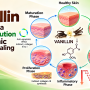 Vanillin provides a sweet solution for chronic wound healing