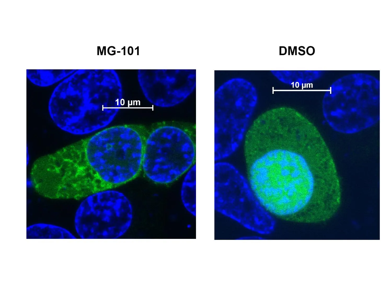 Repurposing FDA-approved drugs may help combat COVID-19 