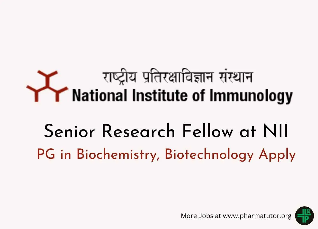 Applications are invited for Senior Research Fellow at NII
