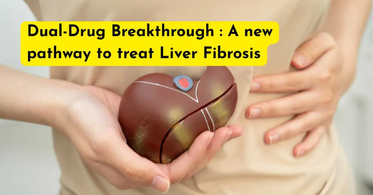 Dual-Drug Breakthrough : A new pathway to treat Liver Fibrosis