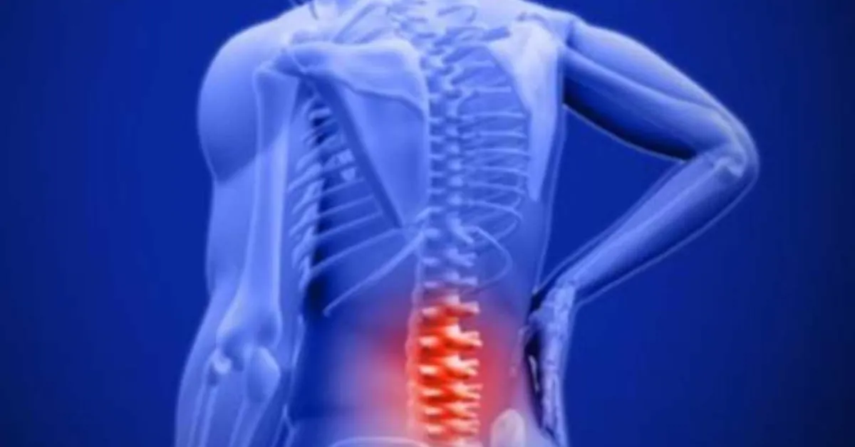 Blocking pain at the source : Hormone therapy rewires nerve signals in aging spines